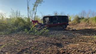 BROYAGE FORESTIER AVEC PRINOTH RAPTOR 300 [upl. by Belle692]