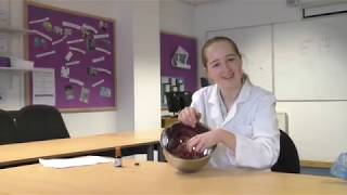 BBC School Report Vegan Products ⏰ NOTE This video is more than one year old [upl. by Tilford293]