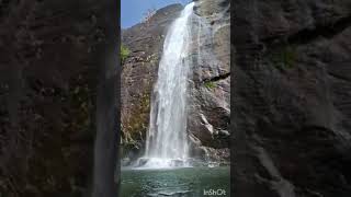 Kerala 🤔 waterfalls  WhatsApp status Subscrribe [upl. by Nelleh]