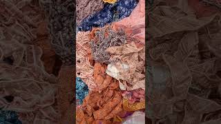 Laces designs Lace dress designs viralvideo sewing fashion shorts [upl. by Nydia]