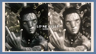 loak sully scenes 4k cam ATWOW [upl. by Ayahc]