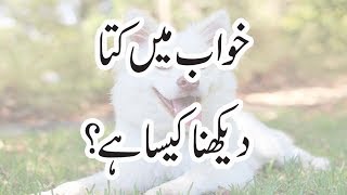 Khawab Ki Tabeer  Khawab Mein Kuta Dekhna Kesa Hy  Dreaming Of Dog Biting [upl. by Aciretehs]