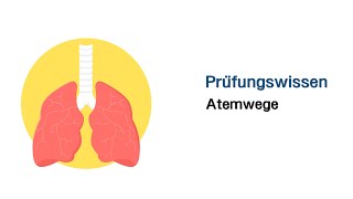 Mündliche Prüfungsfragen  Atemwege [upl. by Arissa508]