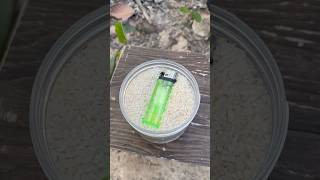 single mom show skills keep the lighter in wild bushcraft outdoor camping survival lifehacks [upl. by Frayda117]