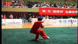 Liu Haibo  Changquan  1996 China Wushu Nationals [upl. by Soiritos]