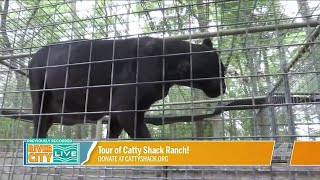 A Tour of Catty Shack Ranch Wildlife Sanctuary  River City Live [upl. by Anertak953]