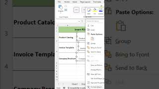 How to insert pdf file in Execl excelbasicsexcelfunctionexceltipsshortsshortsviralexcelbasics [upl. by Coppinger]