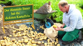 Garten im Juli  Frühkartoffel Solist [upl. by Nisaj]