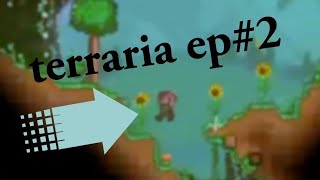 terraria 2 [upl. by Leitao]