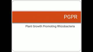 PGPR  Plant Growth Promoting Rhizobacteria  Soil Microflora [upl. by Lasiaf]