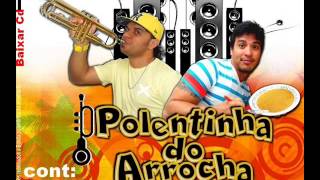 Poletinha do Arrocha Plaque de 100 [upl. by Zimmerman929]