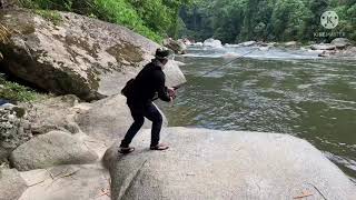 Golden Mahseer catch amp release  Fishing Golden Mahseer arunachalpradesh fishingvideo mahseerfish [upl. by Anoy]