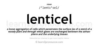 Pronunciation of Lenticel  Definition of Lenticel [upl. by Dart]