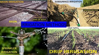 Irrigation Methods In Agriculture [upl. by Nevarc]