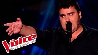 Jacques Brel  Ces gens là  Yoann Launay  The Voice France 2015  Blind Audition [upl. by Maxie]