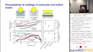 Ultrastructure of Cartilage Extracellular Matrix Hadi Nia [upl. by Marsland240]