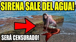 VÍDEOS de SIRENAS REALES asi es el CANTO de las SIRENAS MITOLOGÍA GRIEGA [upl. by Prochoras594]