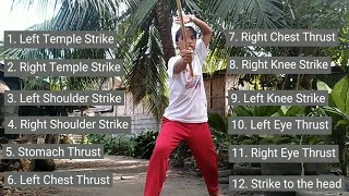 ARNIS 12 STRIKING TECHNIQUES [upl. by Fedak782]