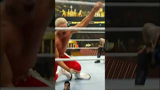 When rhodes wwe wrestling bashinberlin fyp shorts [upl. by Pincince]