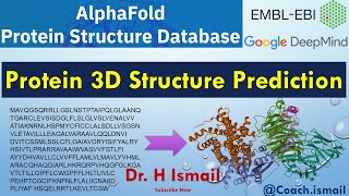 Protein 3D Structure Prediction Using AlphaFold  Results Interpretation  StepbyStep Guide [upl. by Ainiger]