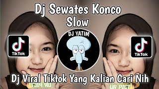 DJ AKU NGERTI SAIKI KOWE RO LIYANE  SEWATES KONCO MENGKANE BY DJ TEBAZ VIRAL TIKTOK TERBARU 2023 [upl. by Tamas388]