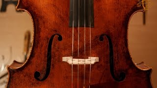 LAUBACH Cello model 918C Domenico Montagnana [upl. by Broderic896]