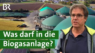 Deckel drauf Weniger Mais für die Biogasanlage  Erneuerbare Energien  Unser Land  BR [upl. by Welker]