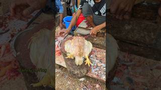 Most Attractive Big Size Whole Chicken Cutting Skills In Expert Cutter 😱 shorts [upl. by Kola]