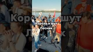 Famous Russian punk rock band played by 320 musicians🤩 rock rocknmob punkrock корольишут [upl. by Ellenwad]