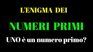 Lenigma dei numeri primi SVELATO UNO è un NUMERO PRIMO [upl. by Bohaty]