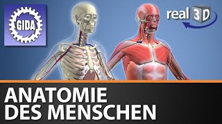 Trailer  Anatomie des Menschen  Biologie  3D Software [upl. by Markus]