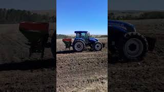 🚜 2024 Canola farming newholland traktor cow love gübre [upl. by Damas816]