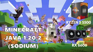 RX 6600  Ryzen 5 5500  Minecraft Java 1202 Sodium [upl. by Salisbury]