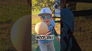 Wood ⚾️ vs Baseball Bat baseball baseballlife baseballswing baseballplayer 9u [upl. by Bowles]