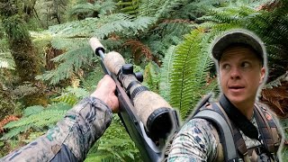 Hunting wild Red Deer for one week in Remote Bush New Zealand Part 1 [upl. by Virge]