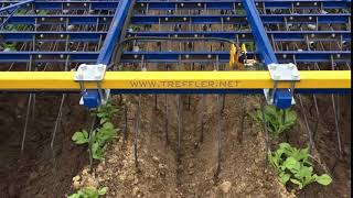 Treffler TS Precision Tine Harrow in potatoes [upl. by Magnus]