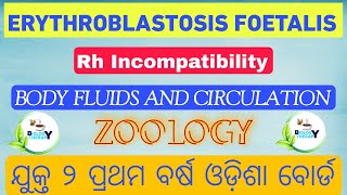 ERYTHROBLASTOSIS FOETALIS  Body Fluids and Circulation  biologytherapy chse neet 11th 12th [upl. by Marino81]