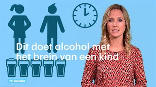 Dit doet alcohol met het brein van een puber  RTL NIEUWS [upl. by Yaker107]