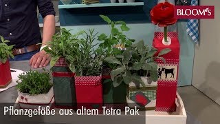 Pflanzgefäße aus TetraPak  DIY Sommerdeko  summer decoration  BLOOM’s Floristik [upl. by Shellie]