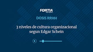 3 niveles de cultura organizacional segun Edgar Schein [upl. by Mulac]