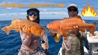 CRACKING CORAL TROUT AND GIANT GRASS SWEETLIP Team MampM Domination [upl. by Annas]