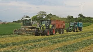 Ensilage dherbe 2k17  Claas Jaguar 860 [upl. by Hseham]