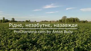 Селище Червоне Бердичівський рн Житомирська обл червоне терещенко житомирщина prochervonecom [upl. by Ocnarf346]