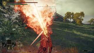 Elden Ring Showcasing Abyss Watcher Moveset Mod [upl. by Thad708]