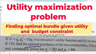 utility maximization problem finding optimal Consumption bundle given utility function and budget [upl. by Ilil]