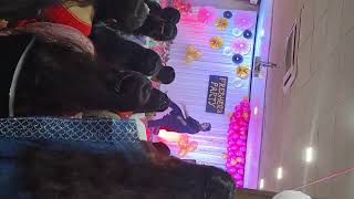 College dance performancetrending college song dance viralvideo youtube [upl. by Kahcztiy]