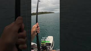 Big fish lost reef fishing australia fishing [upl. by Mclaughlin]