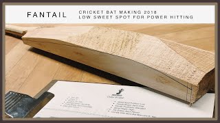 cricket bat making How to make Indian cricket bat Making home of a cricket bat at home Making Seba [upl. by Marilee]