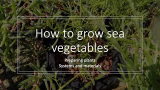 Sea Vegetable Workshop How to Grow [upl. by Umeko446]