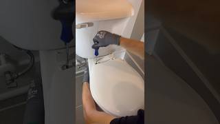 350 in 30 minutes replacing toilet seats plumbing shorts [upl. by Isolde305]